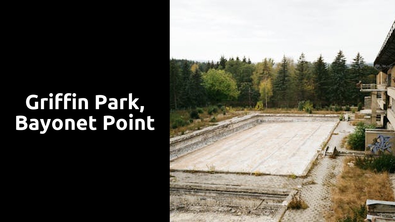 Griffin Park, Bayonet Point