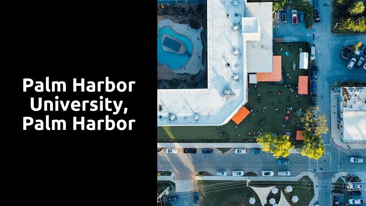 Palm Harbor University, Palm Harbor