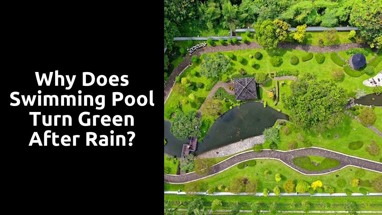 Why does swimming pool turn green after rain?